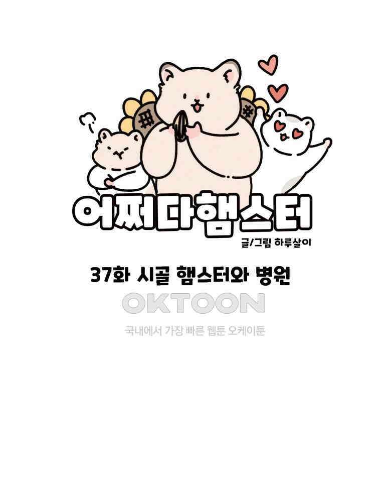 어쩌다 햄스터 37． 시골 햄스터와 병원 14