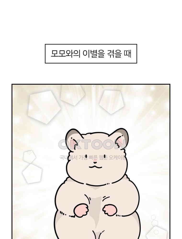어쩌다 햄스터 47． 신뢰의 기준 1