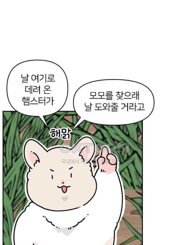 어쩌다 햄스터 외전 3． 만나고 싶지 않아 10