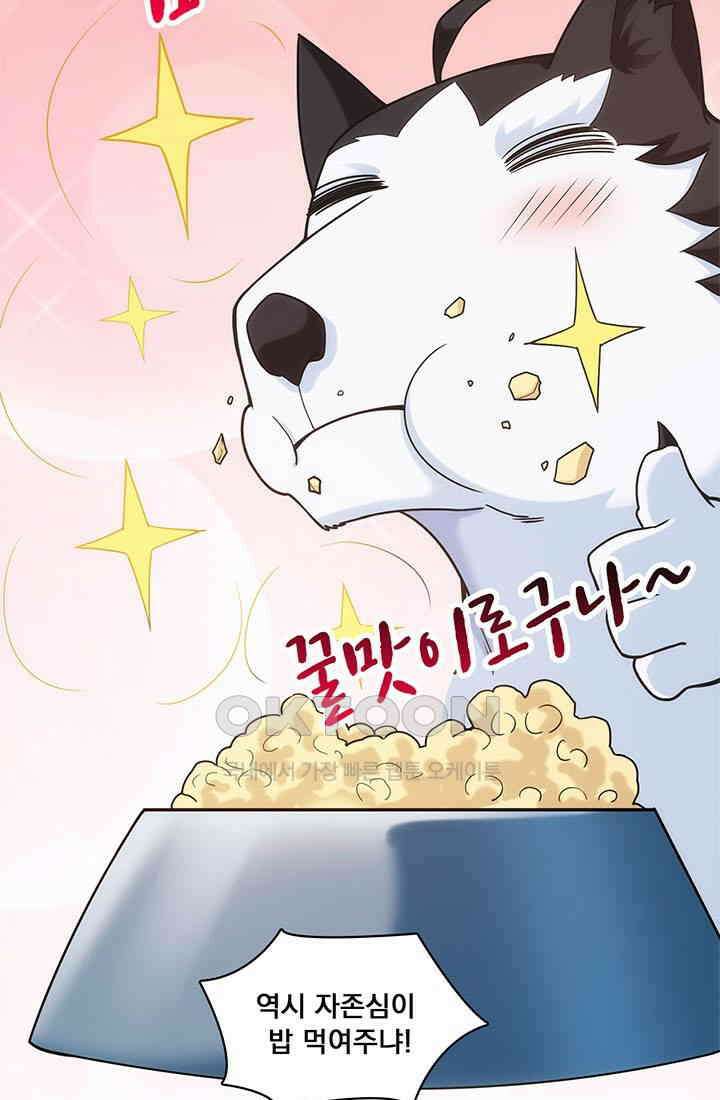 환생 허스키, 인간 회귀 대작전! 10화 7
