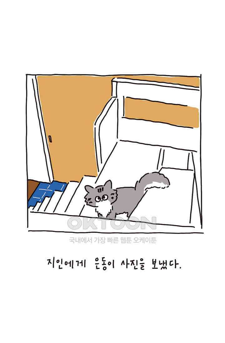은동스+옹동스 은동스 195화． 쉽게 키운다 2