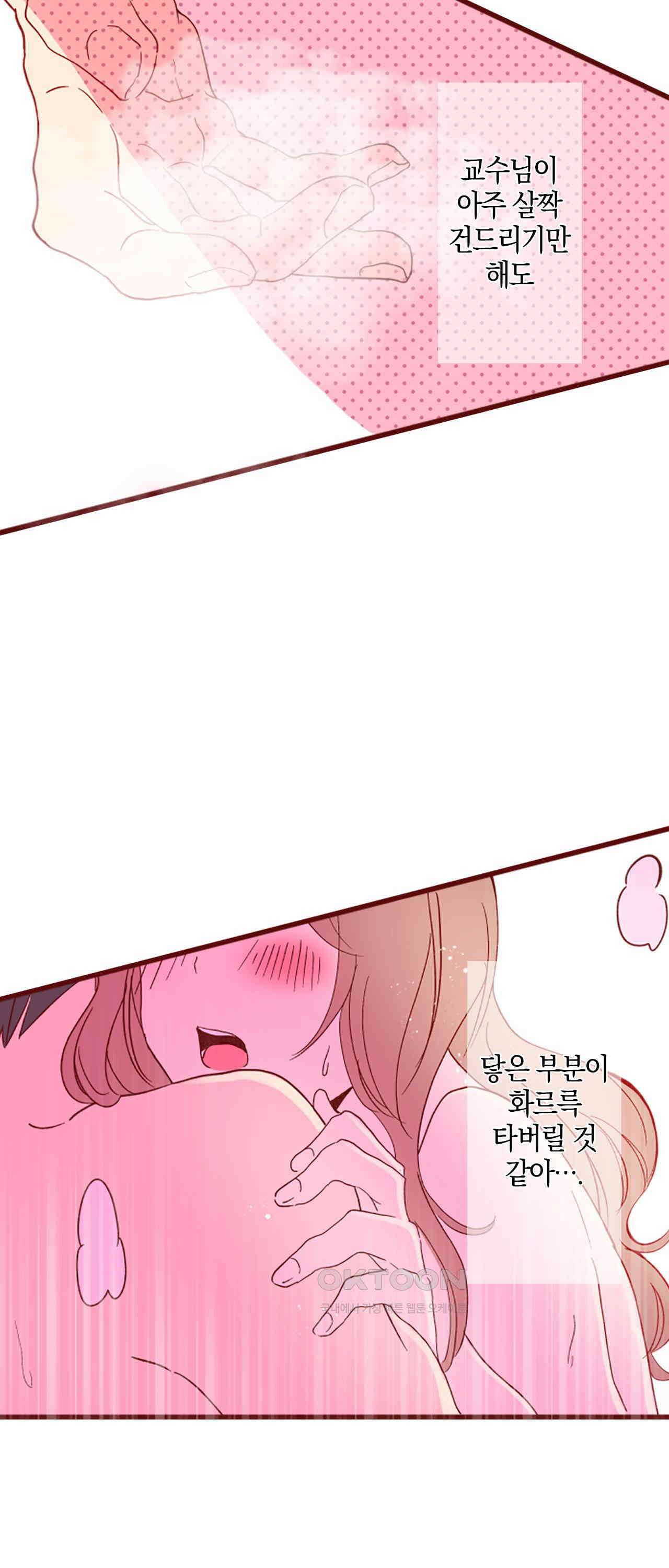 어쩌다 보니 동거 63화 48