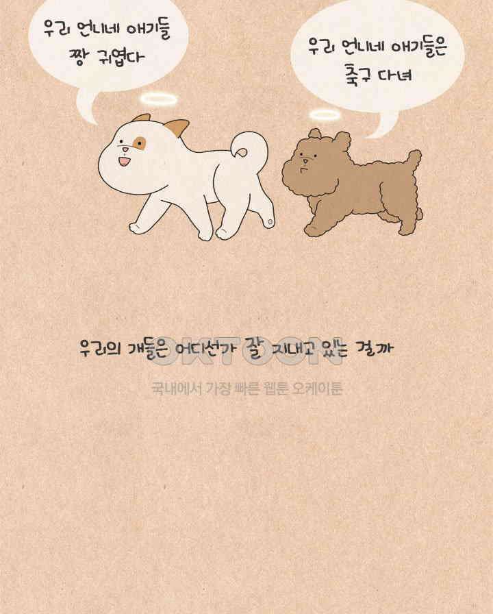 퀴퀴한 일기 ＃571． 나의 개 16