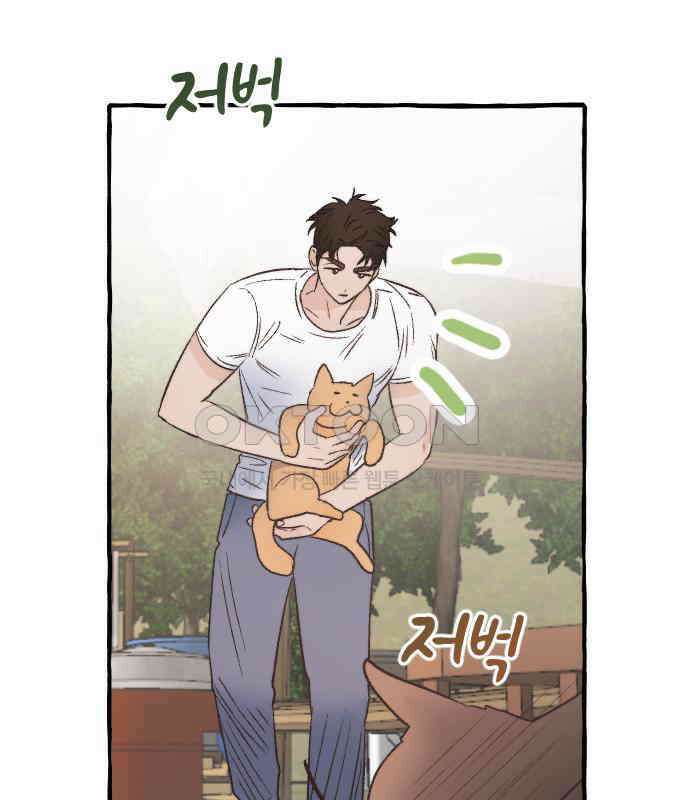 숲속의 대표님 ＃17 23
