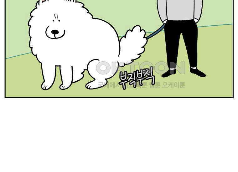 극한견주 시즌2 31화 똥 줍는 삶 23