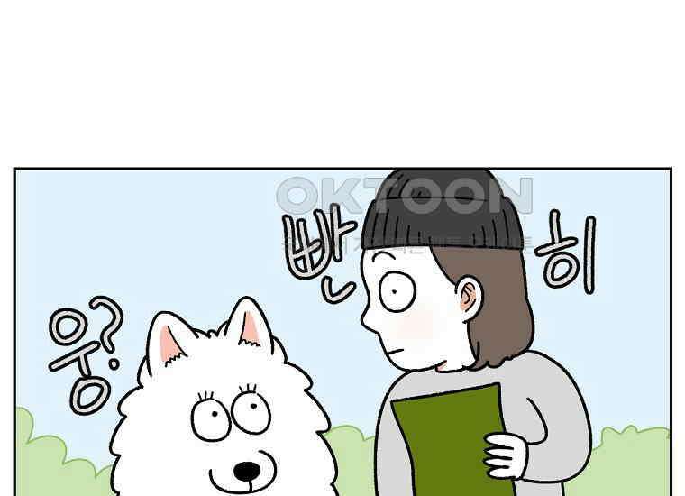 극한견주 시즌2 31화 똥 줍는 삶 31