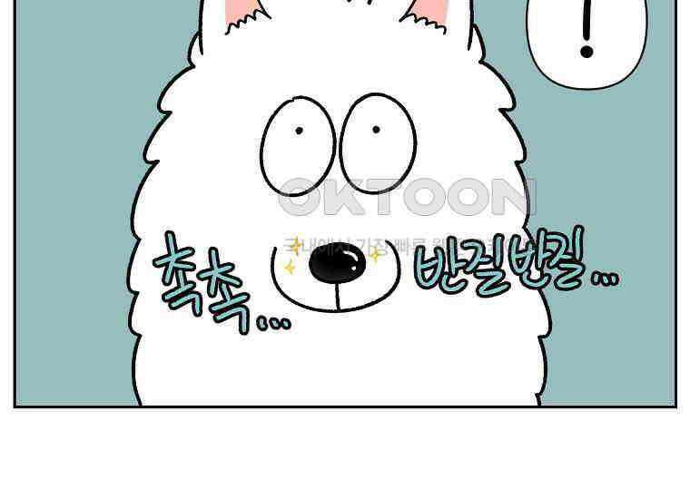 극한견주 시즌2 31화 똥 줍는 삶 33