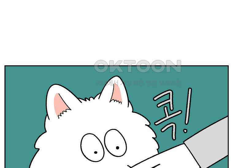 극한견주 시즌2 31화 똥 줍는 삶 34