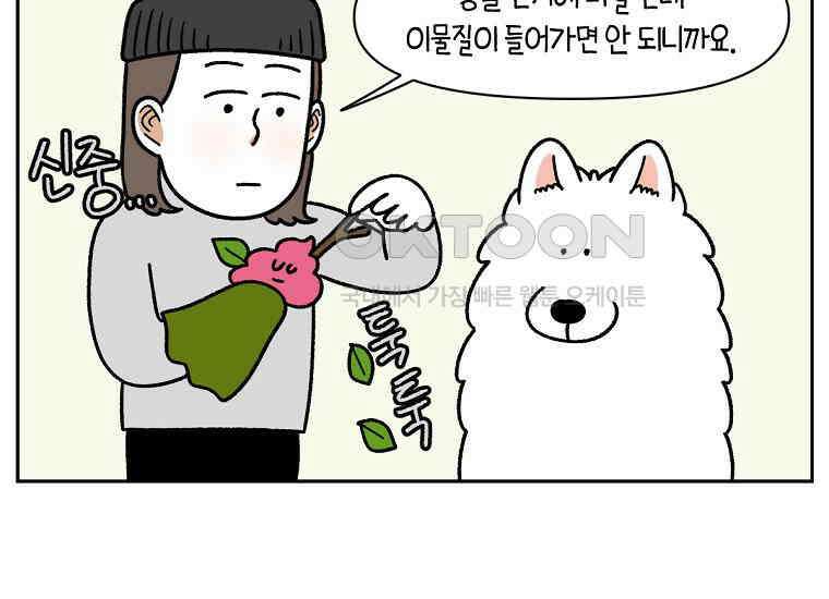 극한견주 시즌2 31화 똥 줍는 삶 39