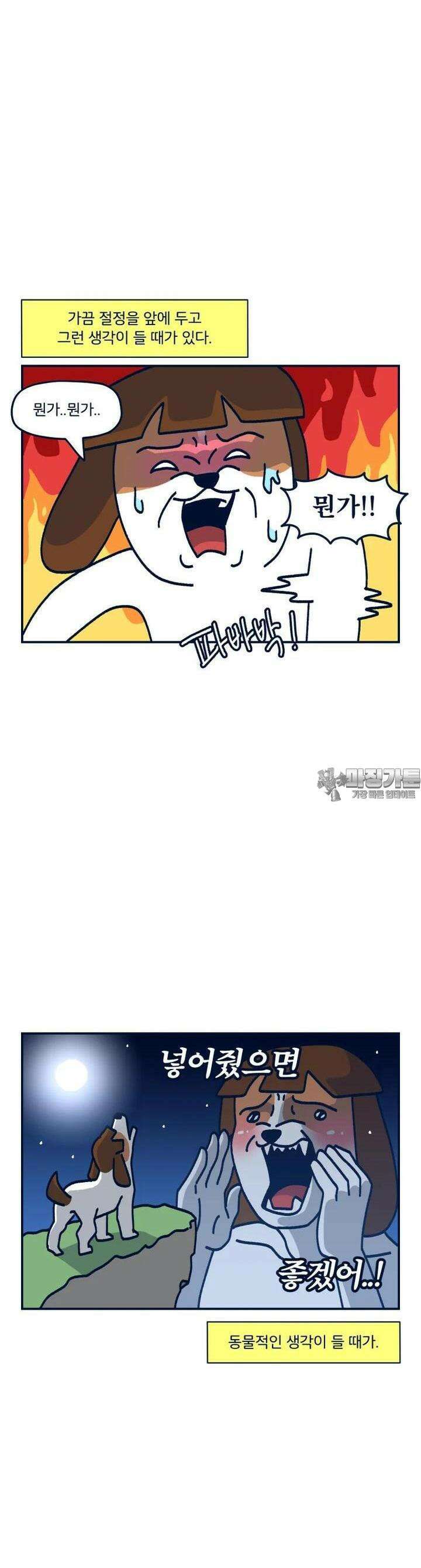 오선생을 향해 25． 큰 거 vs 단단한 거 2