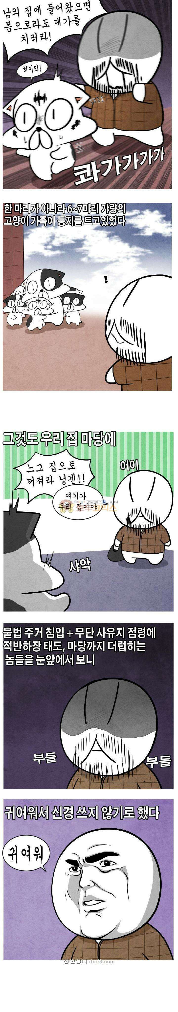 제카툰 23화 - 길고양이 3