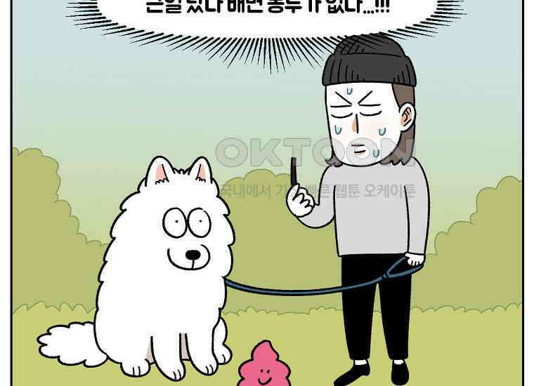 극한견주 시즌2 32화 똥 봉투 없음 13