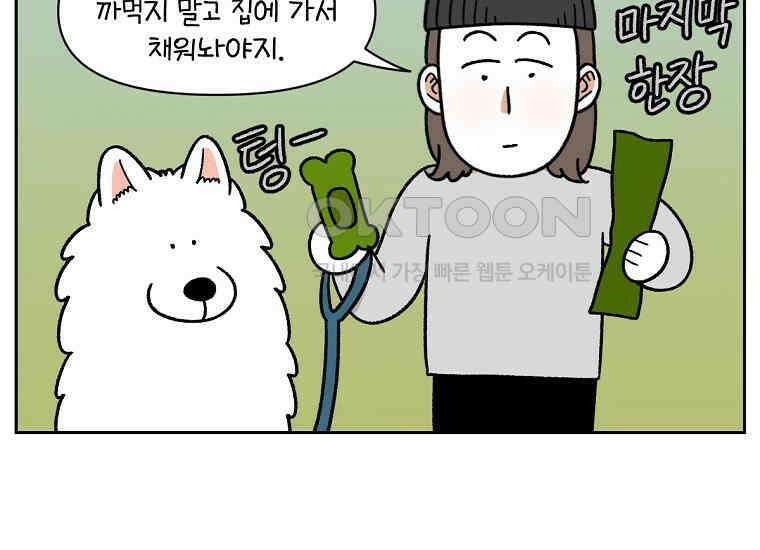 극한견주 시즌2 32화 똥 봉투 없음 15