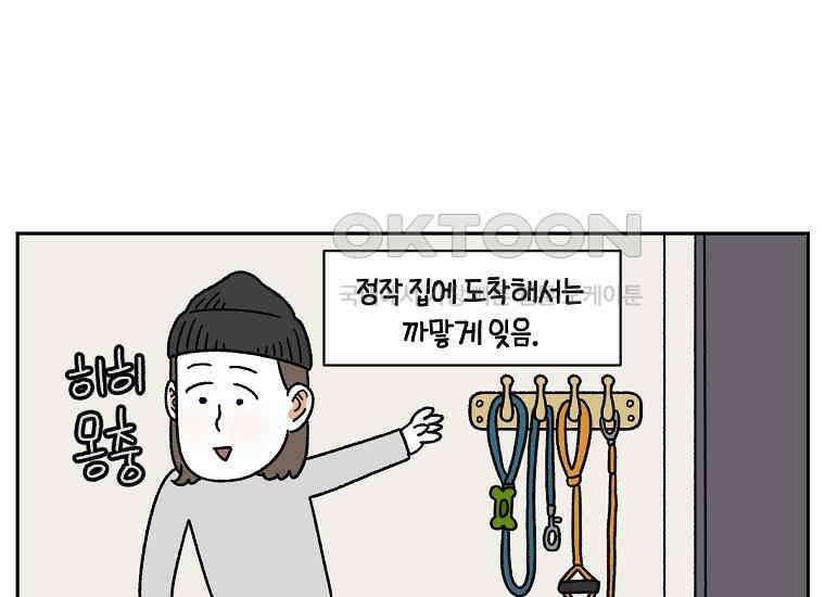극한견주 시즌2 32화 똥 봉투 없음 16