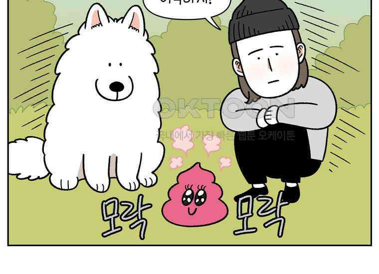 극한견주 시즌2 32화 똥 봉투 없음 18