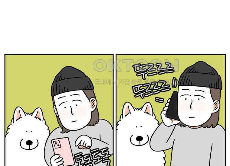 극한견주 시즌2 32화 똥 봉투 없음 19