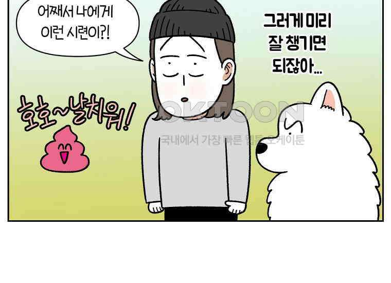 극한견주 시즌2 32화 똥 봉투 없음 37