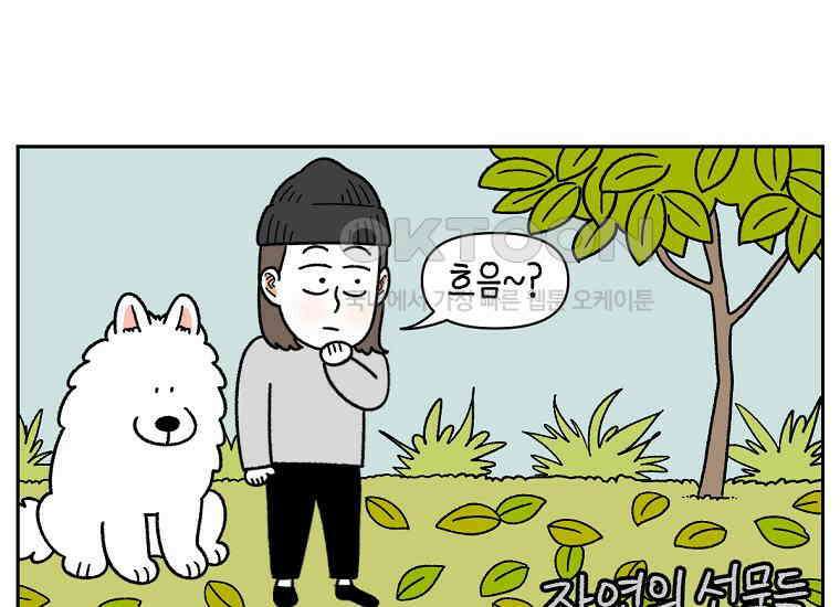 극한견주 시즌2 32화 똥 봉투 없음 38
