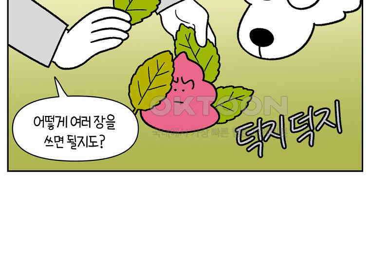 극한견주 시즌2 32화 똥 봉투 없음 41