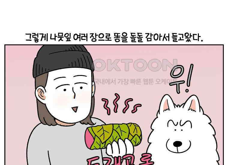 극한견주 시즌2 32화 똥 봉투 없음 42