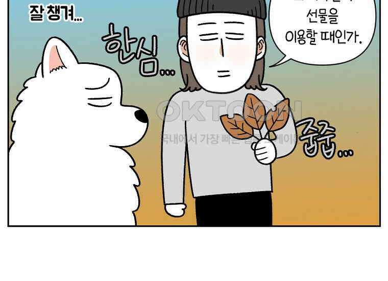 극한견주 시즌2 32화 똥 봉투 없음 44