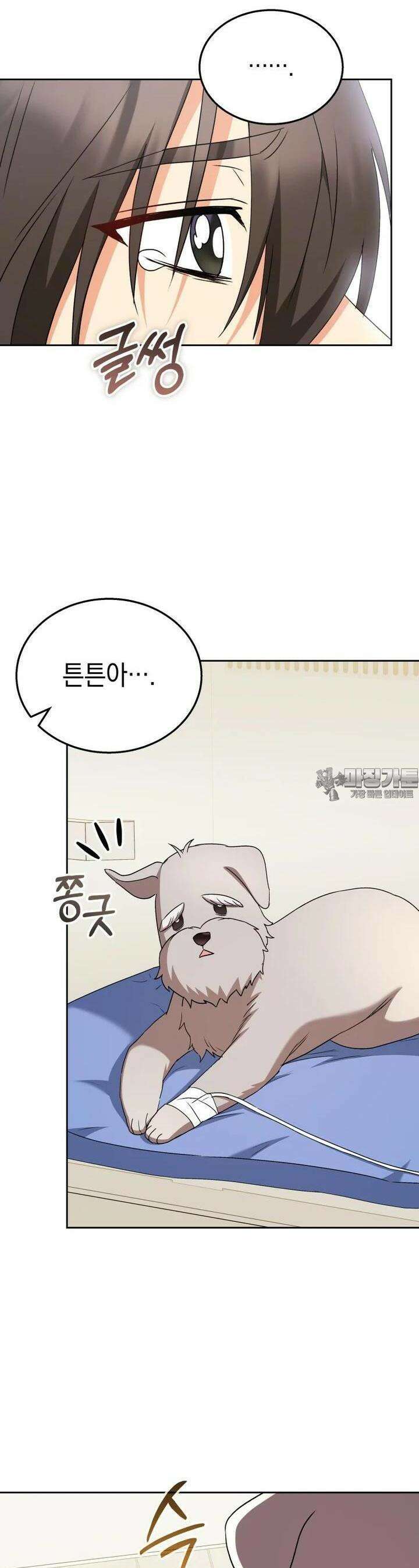 수의사님! 안녕하세요? 69화 3