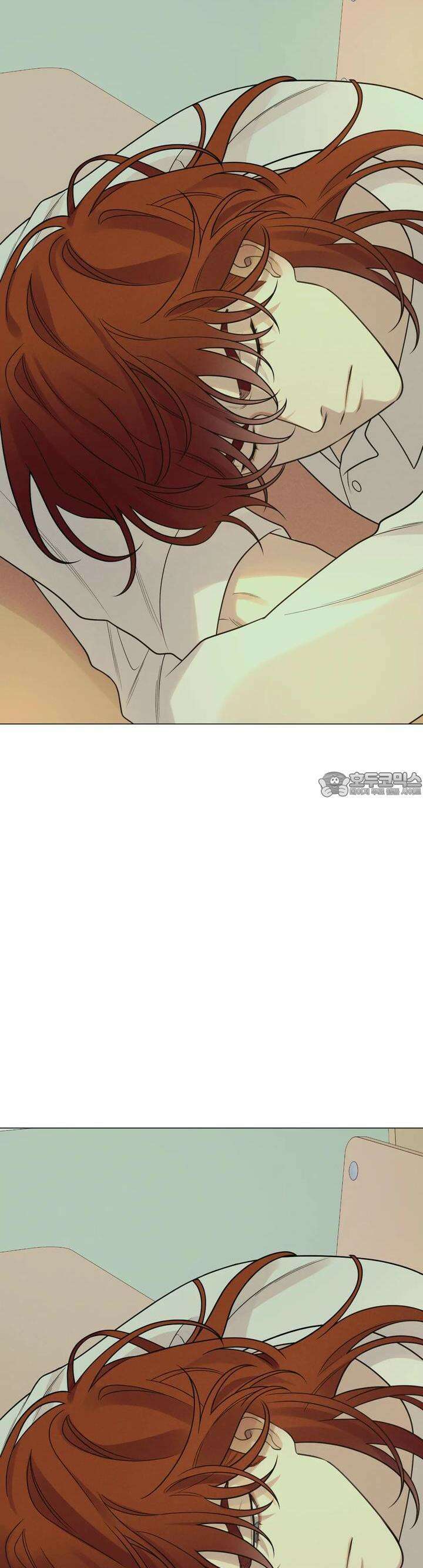 산가지는 도깨비의 꿈을 꾼다 33화 꿈(2) 4
