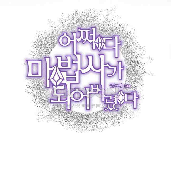 어쩌다 마법사가 되어버렸다 17 2