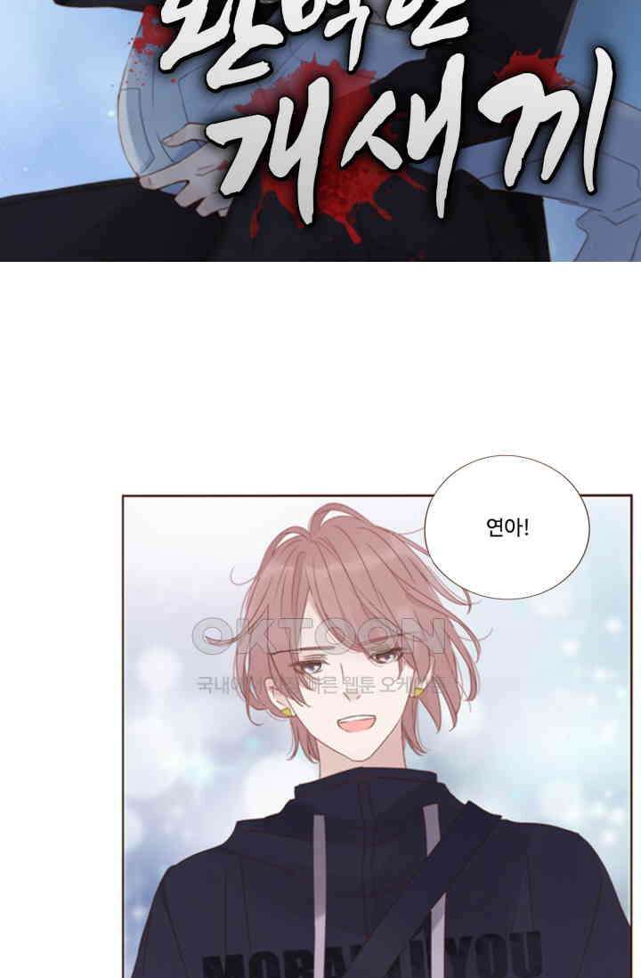 완벽한 개새끼 56화 4