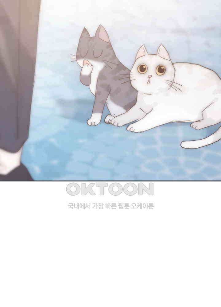 이번에는 닿기를 49화 11