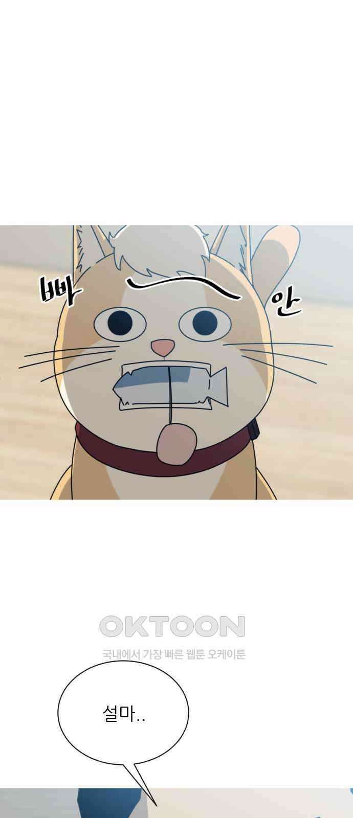 아는 사람 15화 : 외지인(1) 8