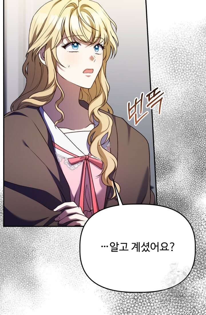 아젤다 : 정령사의 계약 결혼 17화 16