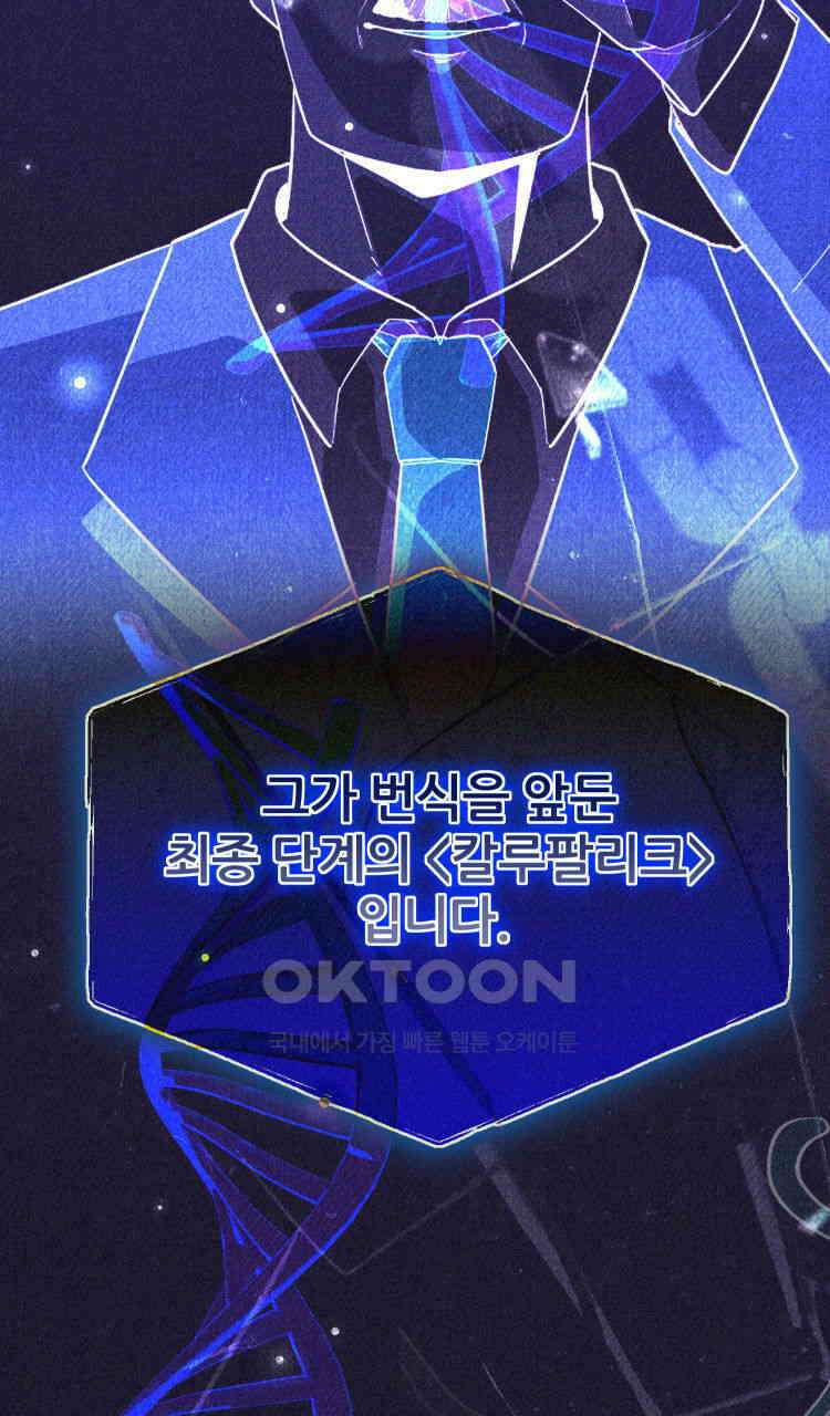 노바디스 번 식 30