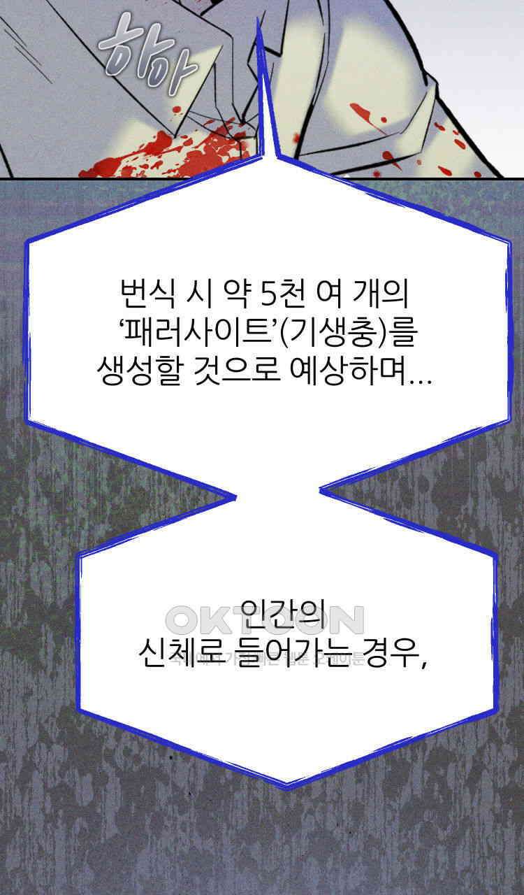 노바디스 번 식 37