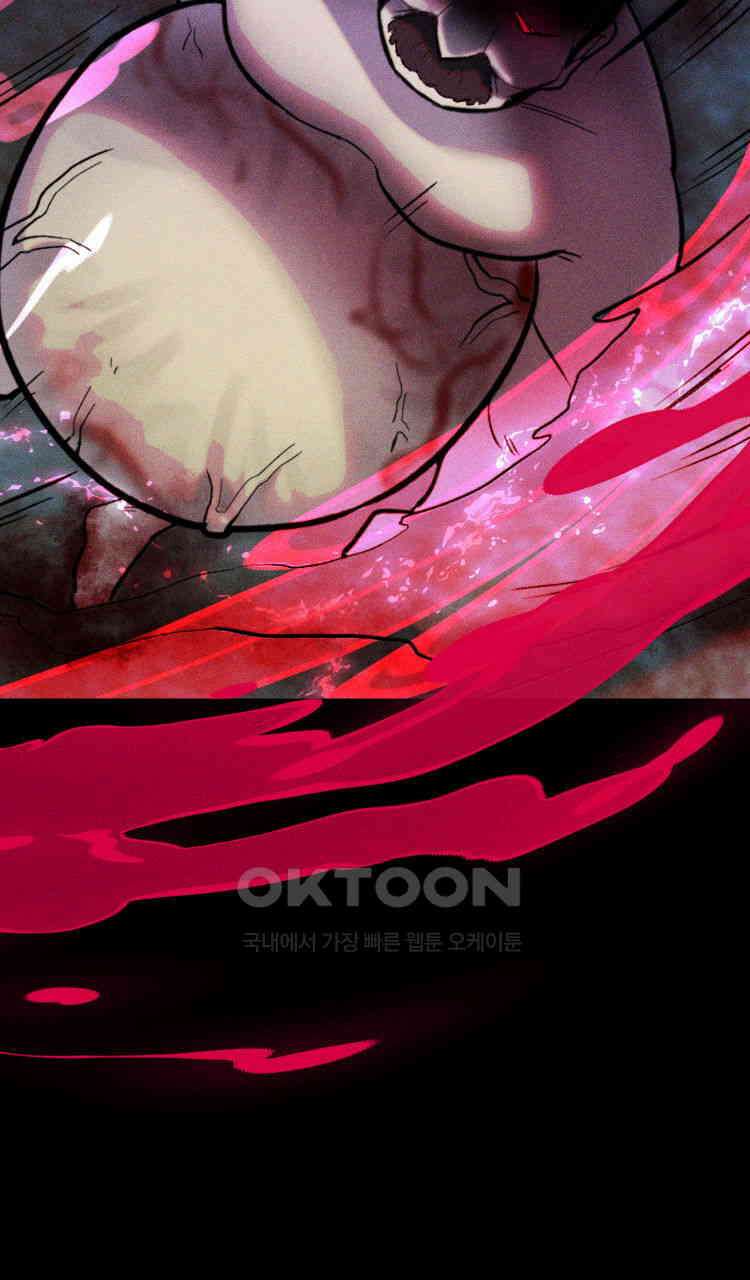 노바디스 번 식 88