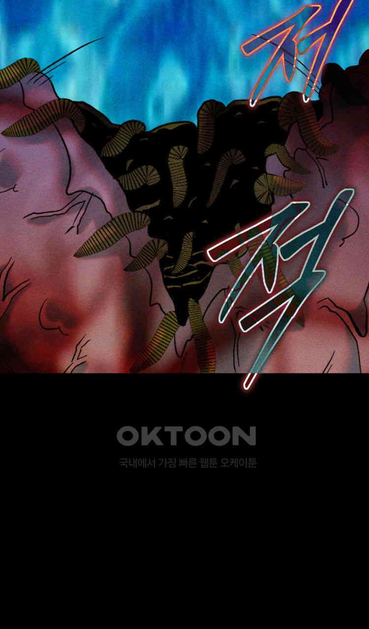 노바디스 번 식 94