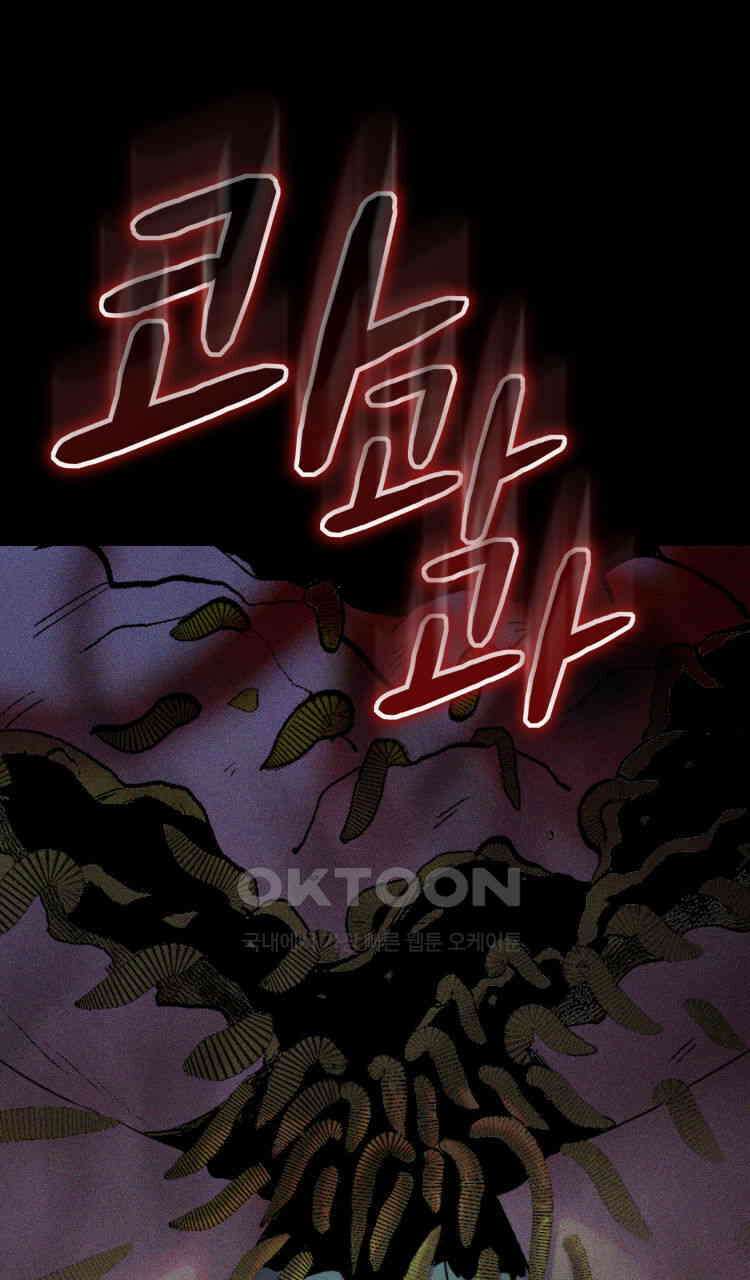노바디스 번 식 95