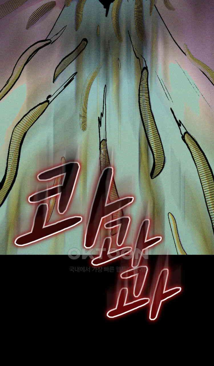 노바디스 번 식 96