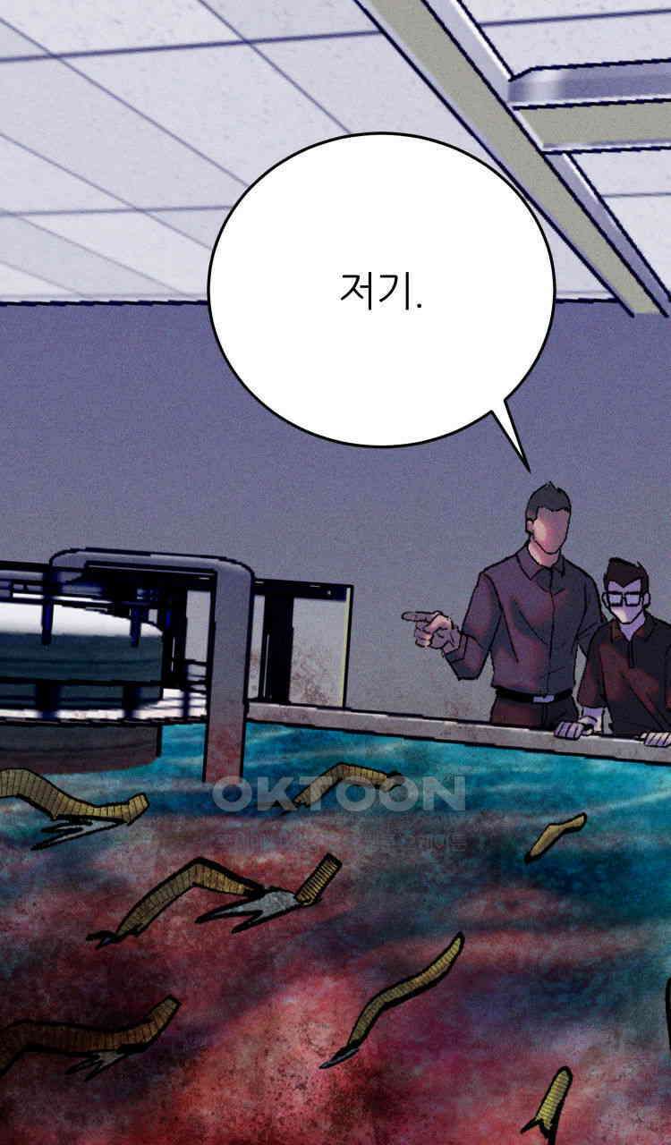 노바디스 번 식 103