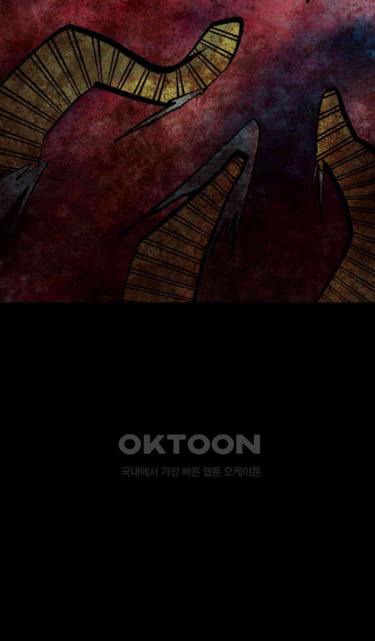노바디스 번 식 104
