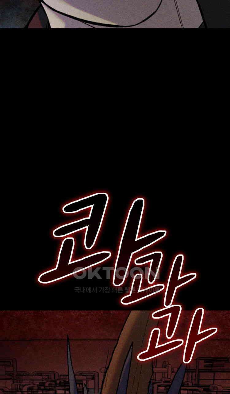 노바디스 번 식 118
