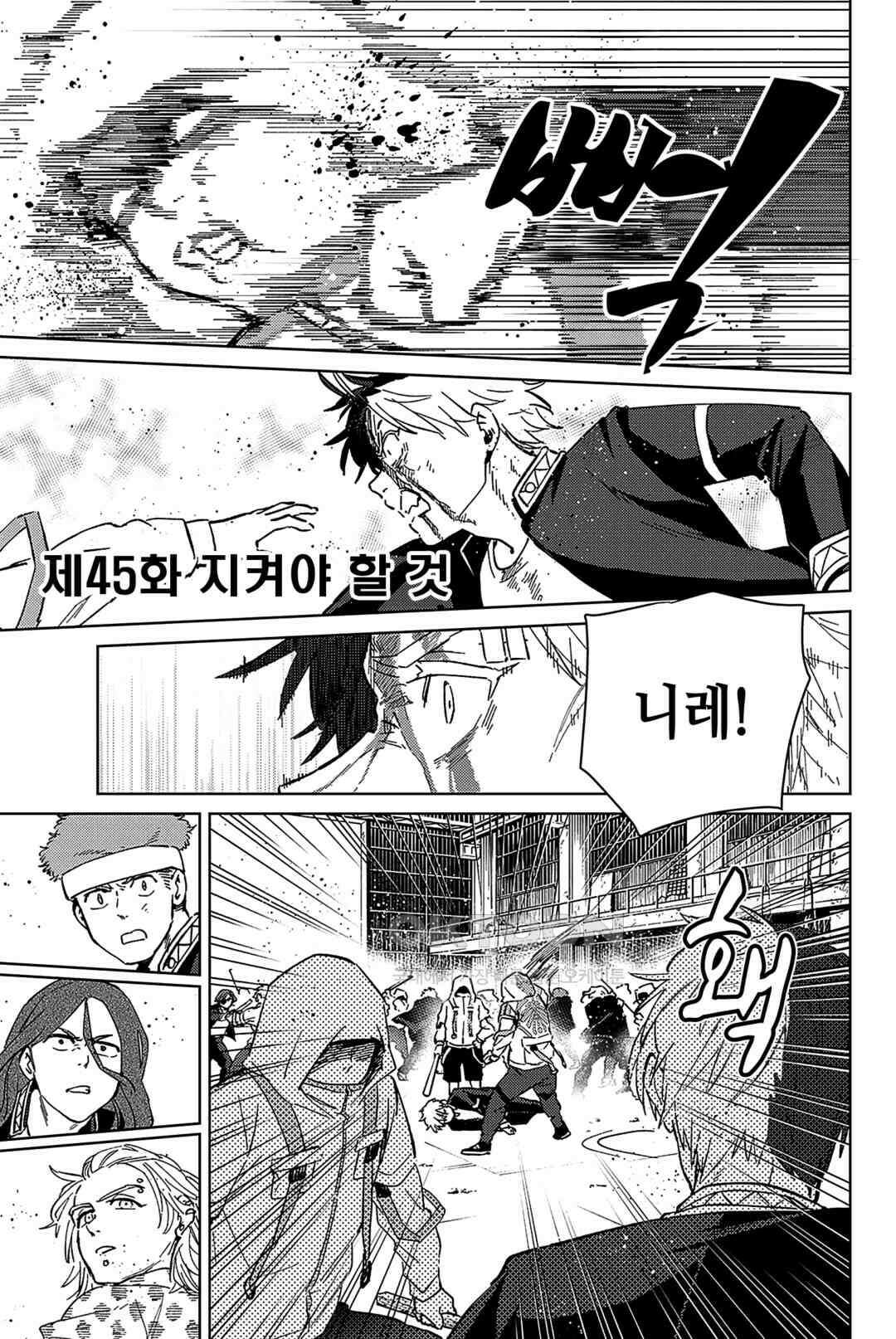 윈드 브레이커 [만화] 45화 2