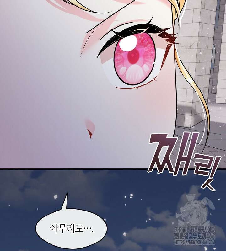 프린세스 플레이어 63화 84