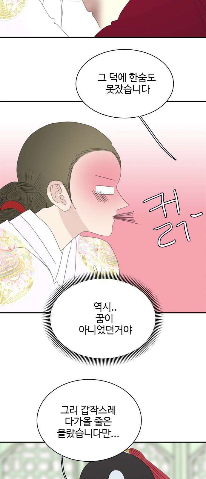 세자와 세자빈의 계약혼인전 50화 - 그 날밤의 진실은 47