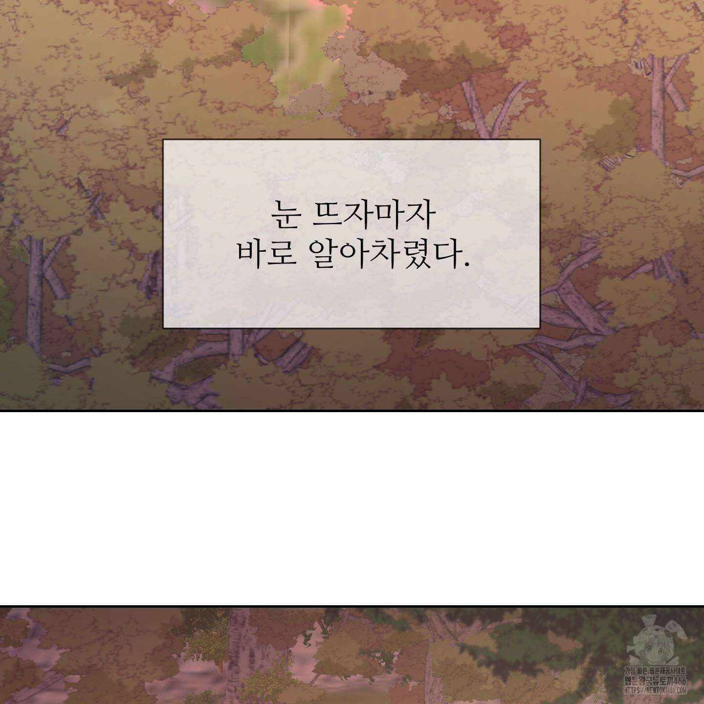 드레드풀 나잇 42화 12
