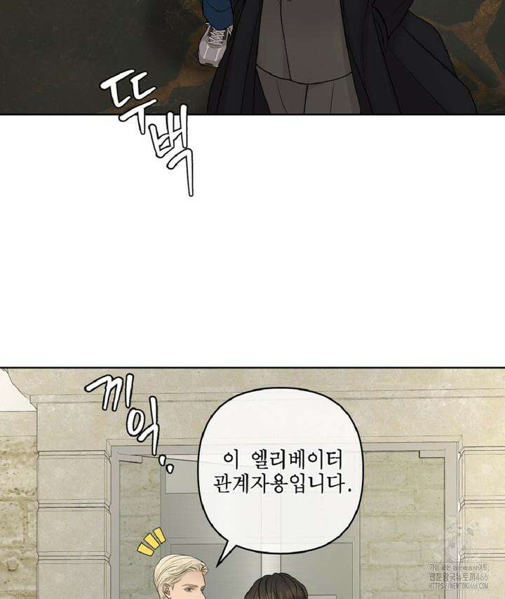 캔버스에 유채 5화 19