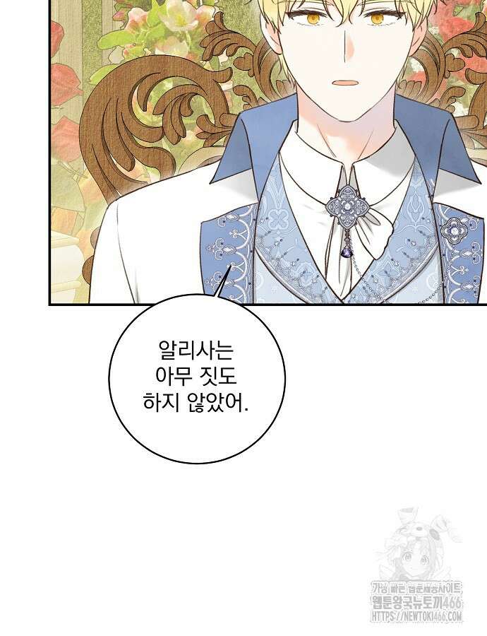 알리사와 마법일기 26화 33