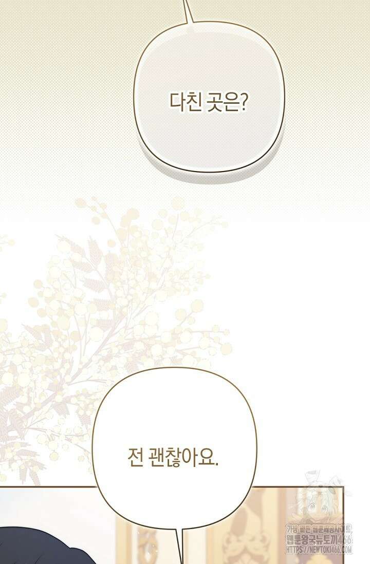 애완 시녀 66화 21