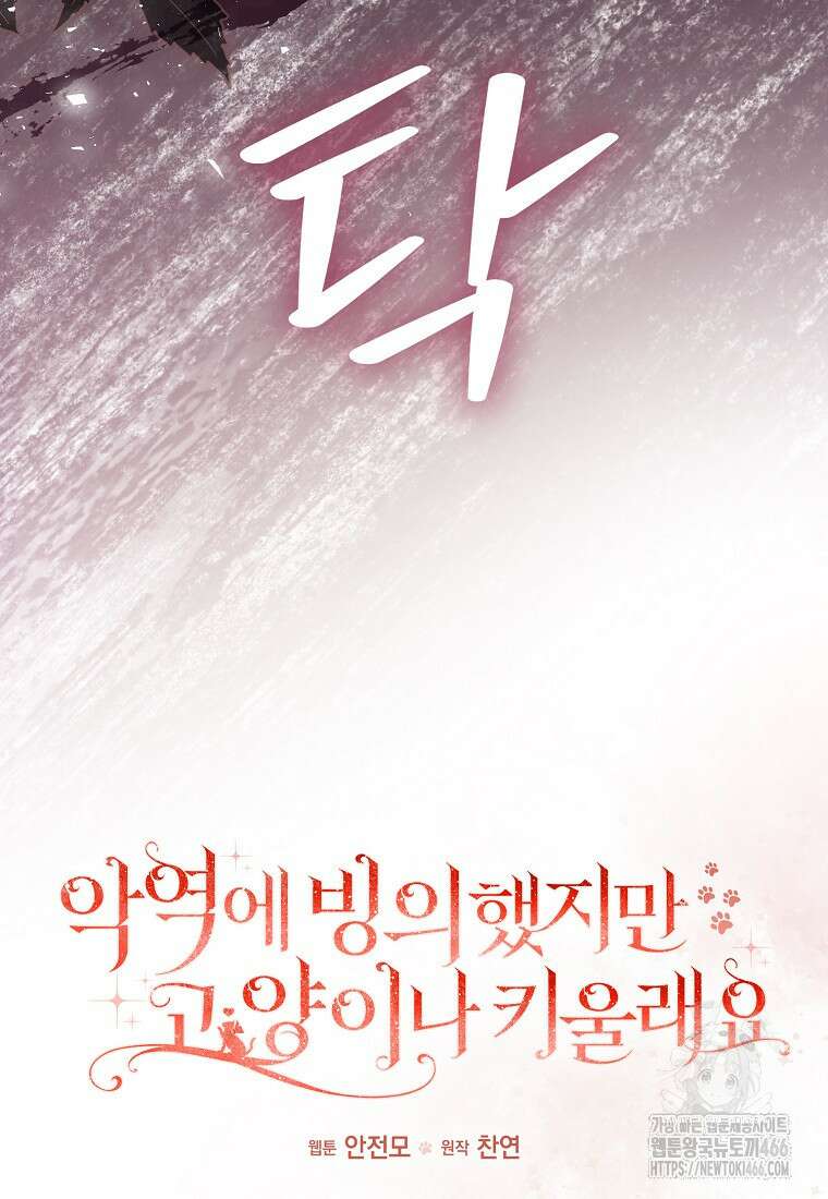 악역에 빙의했지만, 고양이나 키울래요 39화 16