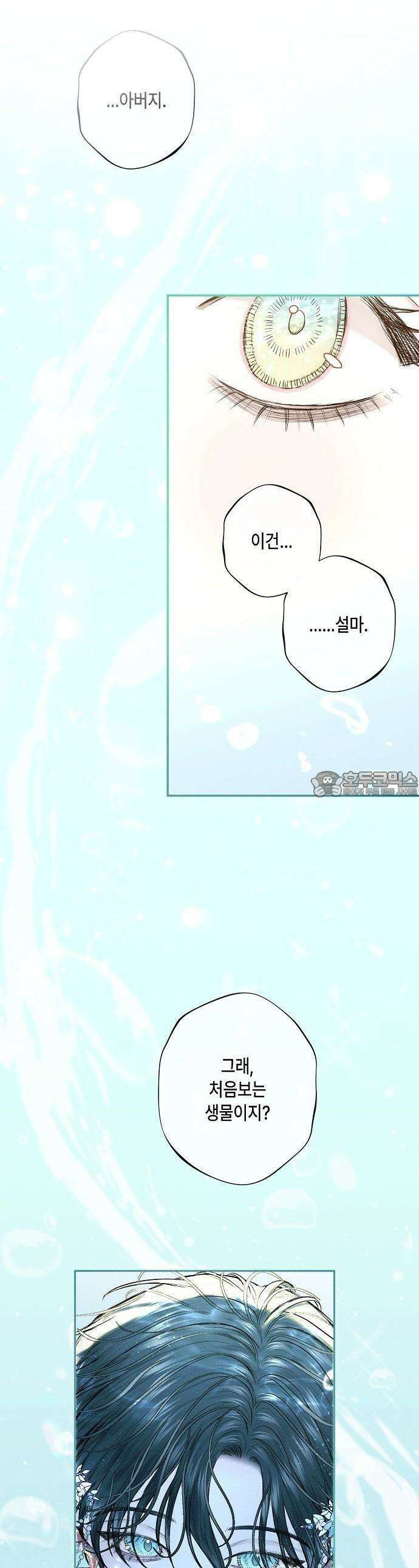 내 호수에 가둔 인어 1화 52
